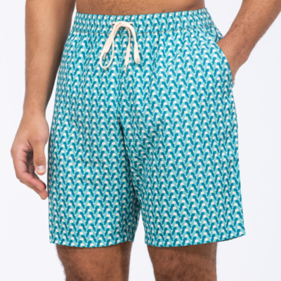 2t Harry Tall Mens Swim Shorts (turquoise) | Tall Mens Clothing | 2tall.com